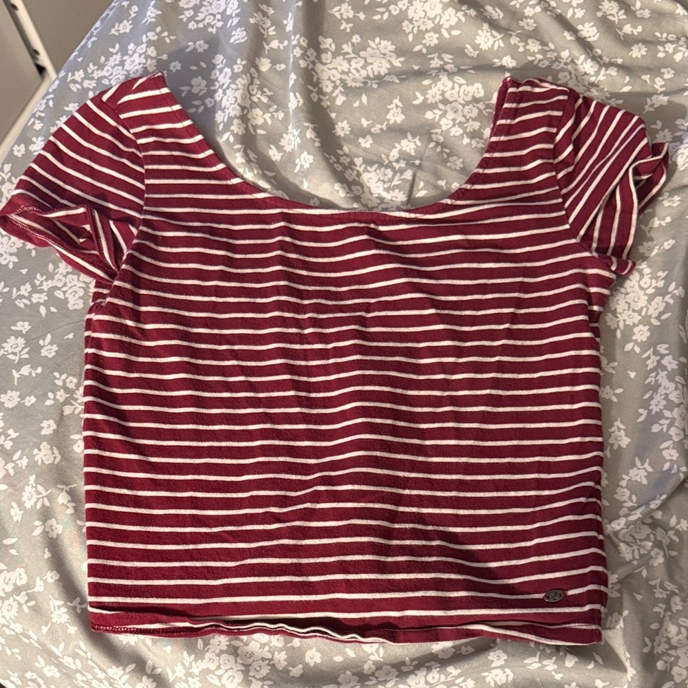 American Eagle Outfitters Burgundy and White Striped Crop Top